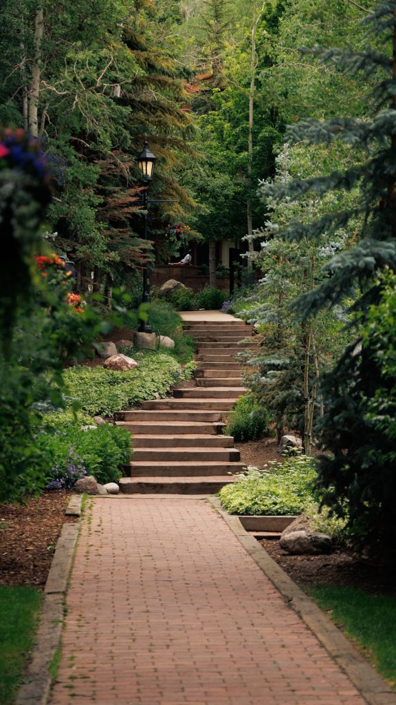 Brick path winding through a lush, well-kept garden