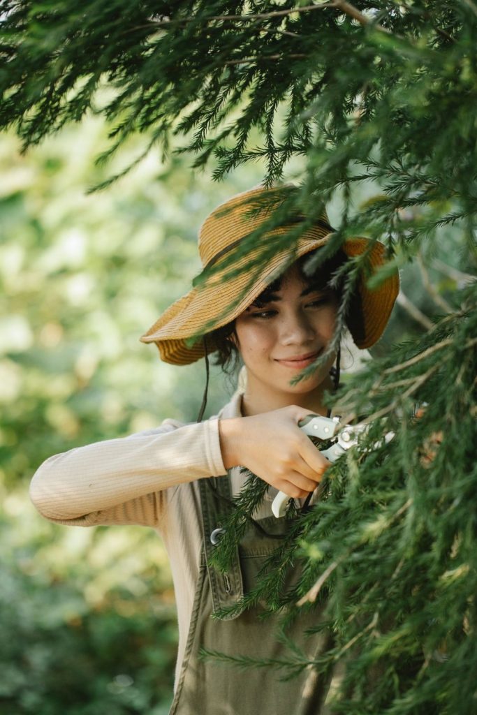Gardener in a straw hat cutting branches with secateurs