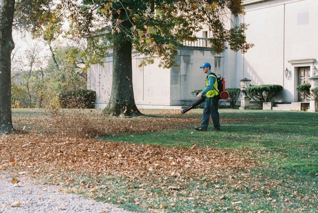 Worker clearing fallen leaves from a yard with a leaf blower