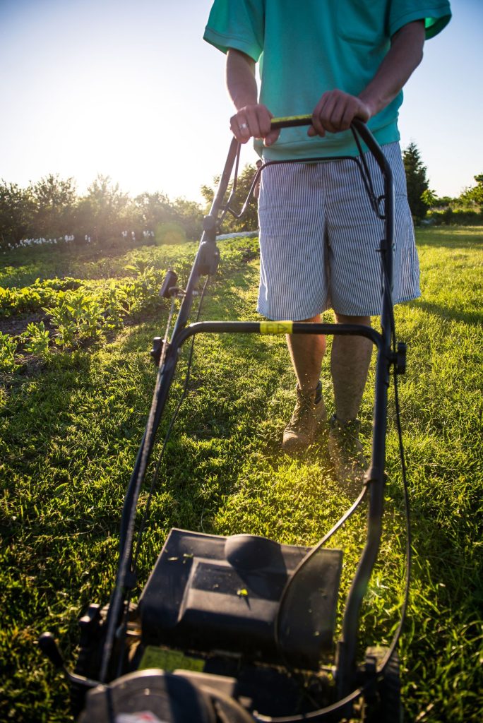 Close-up of a push mower cutting a lawn on a sunny day