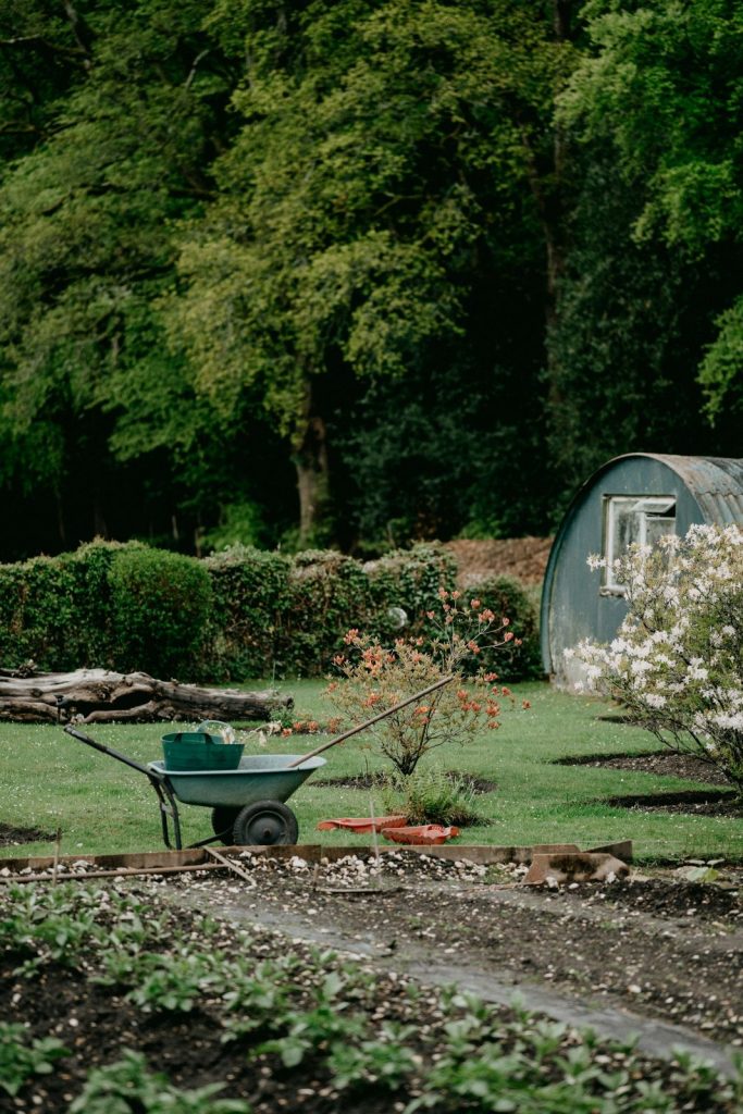 Wheelbarrow parked beside a tidy garden shed and flower beds